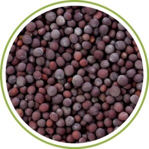BLACK MUSTARD SEEDS