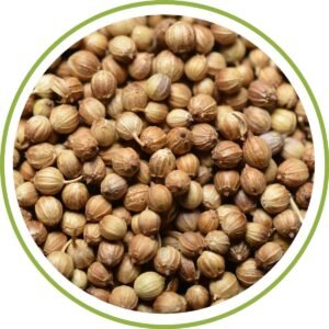 WHOLE CORIANDER SEEDS