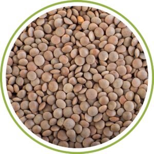 WHOLE RED LENTILS